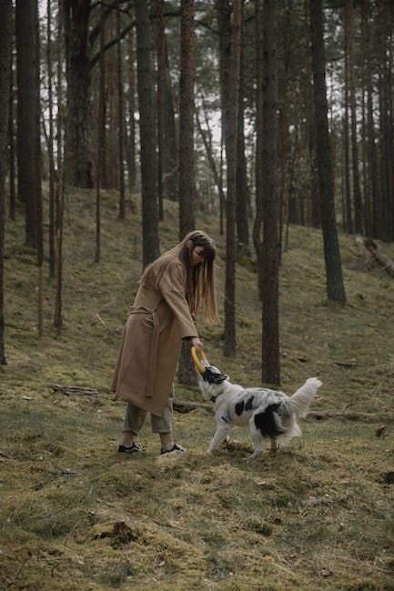 Fetching Dog Names Inspired by Nature: Unleashing the Beauty of the Great Outdoors