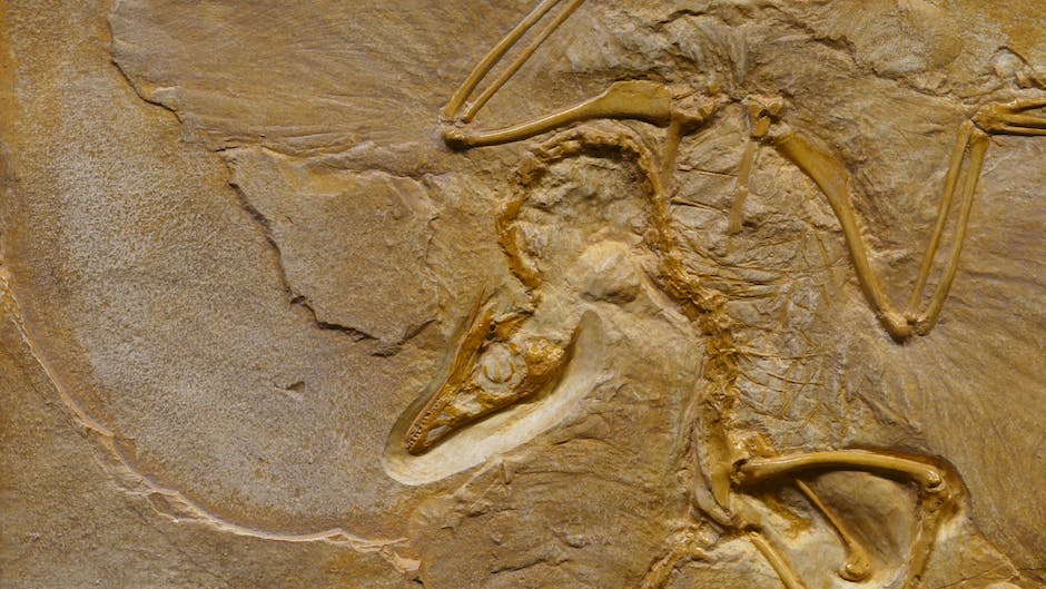 Jurassic Crafts: Create Mesozoic Magic with DIY Dino Balloons