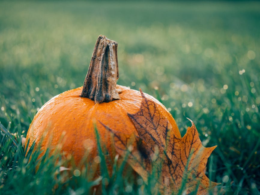 October's Whimsical Charm: A Time for Delightful Quotes and Captivating Images