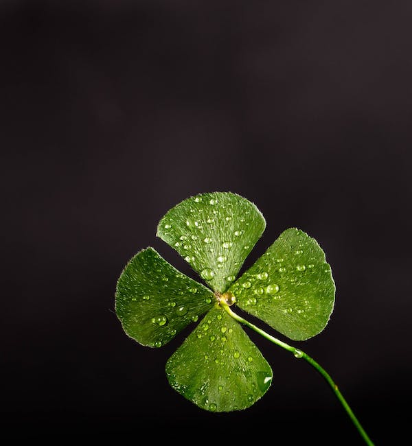 3. ⁢Elevate the Festive Spirit: Wishes to Shower Good Luck and⁣ Happiness on ‌St. ‍Patrick's Day
